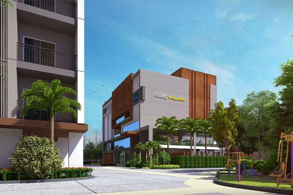 Aparna Kanopy Yellow Bells: Clubhouse (artist impression)