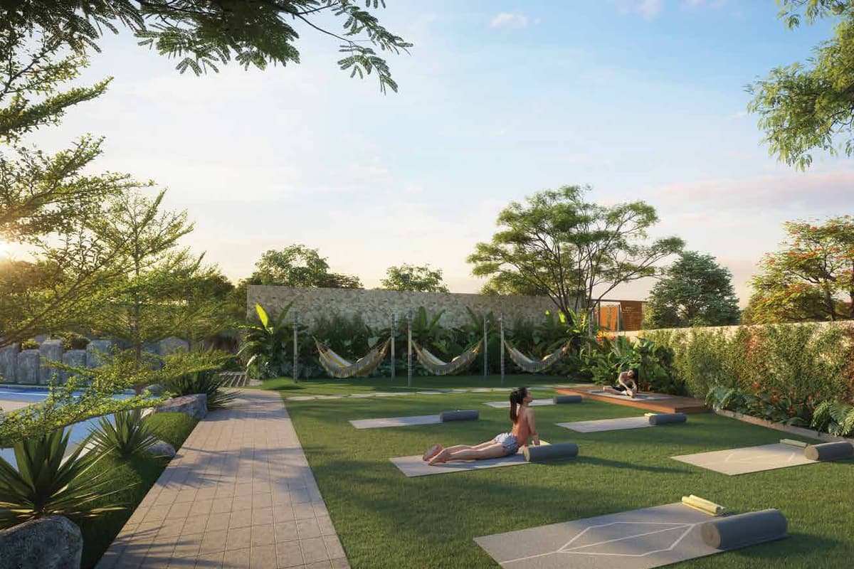 Candeur Eternia: Open lawn