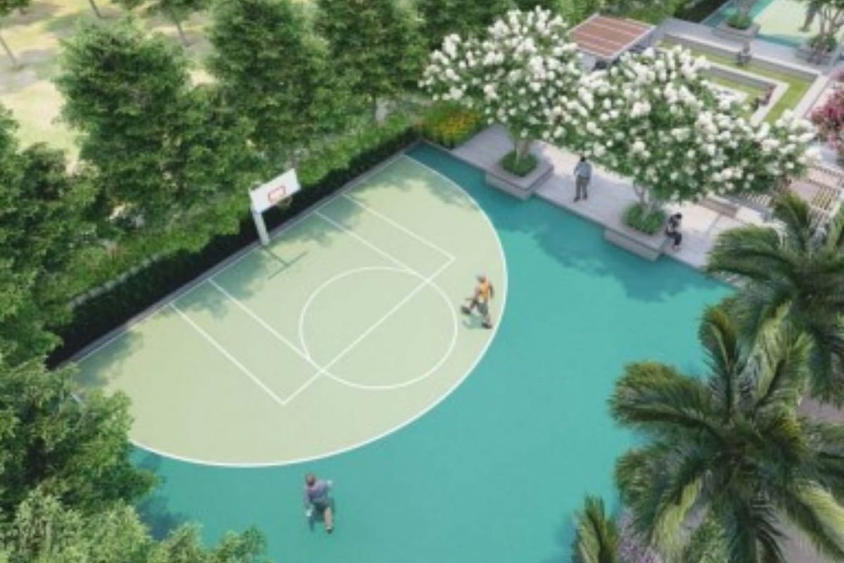 Chavala Hedgewoods: Basketball half court